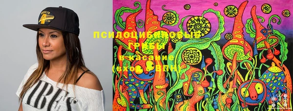 PSILOCYBIN Алексеевка