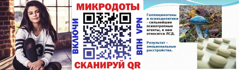 Псилоцибиновые грибы Psilocybe  Грайворон 
